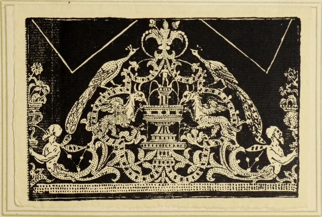 An illustration from Antiche trine italiane : trine ad ago, 1908, leaf 40