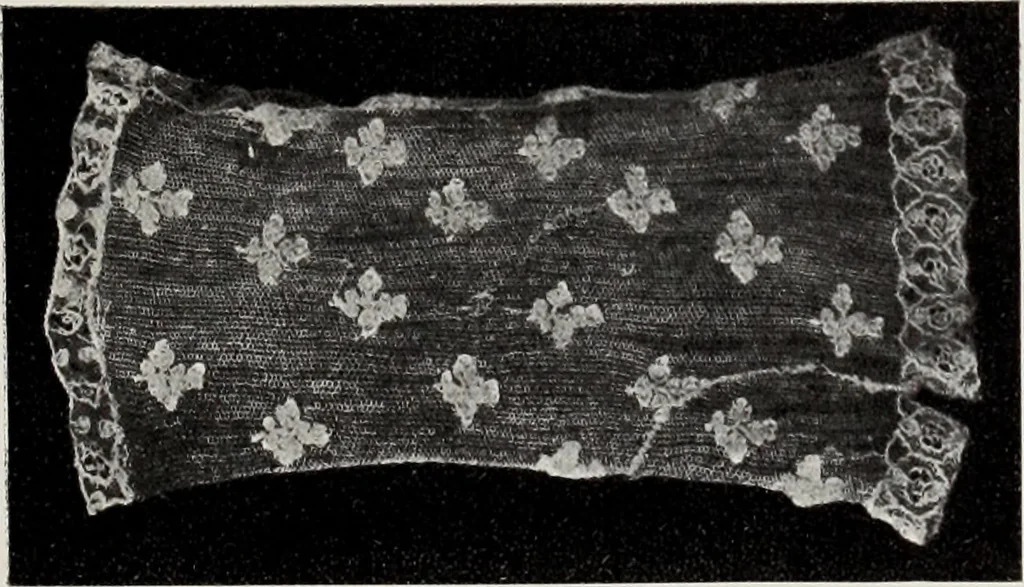 An illustration from Antiche trine italiane : trine ad ago, 1908, leaf 406