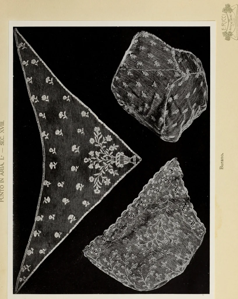 An illustration from Antiche trine italiane : trine ad ago, 1908, leaf 408