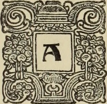 An illustration from Antiche trine italiane : trine ad ago, 1908, leaf 420