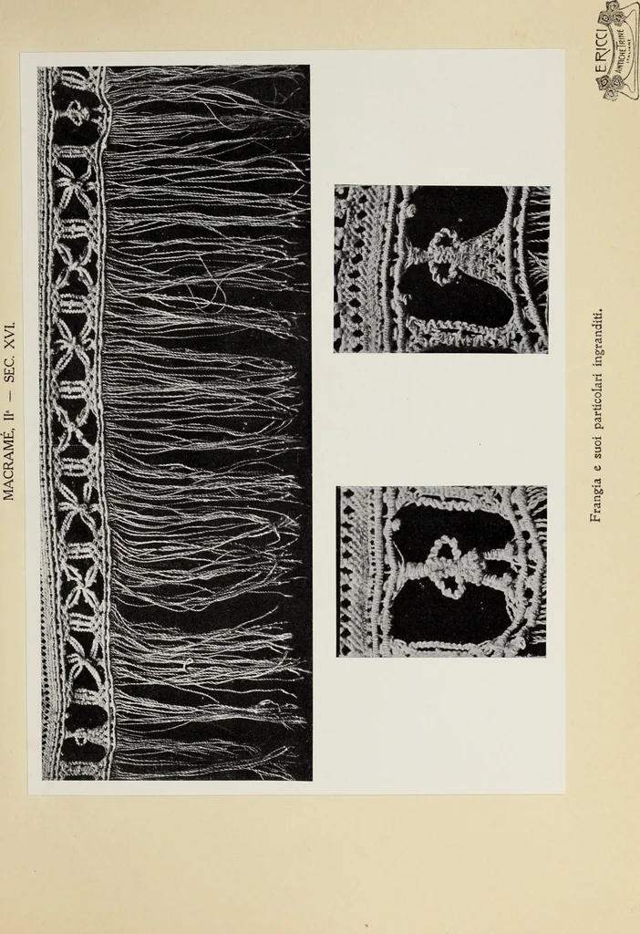 An illustration from Antiche trine italiane : trine ad ago, 1908, leaf 426