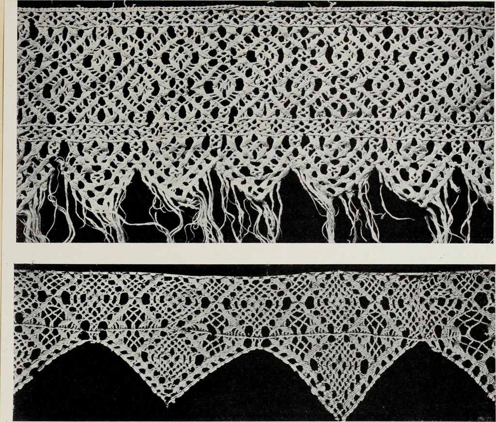 An illustration from Antiche trine italiane : trine ad ago, 1908, leaf 428