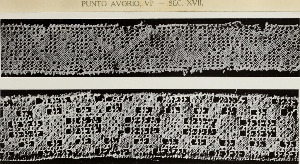 An illustration from Antiche trine italiane : trine ad ago, 1908, leaf 434
