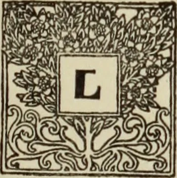 An illustration from Antiche trine italiane : trine ad ago, 1908, leaf 44