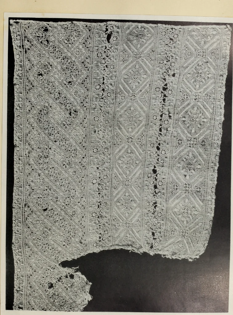 An illustration from Antiche trine italiane : trine ad ago, 1908, leaf 46