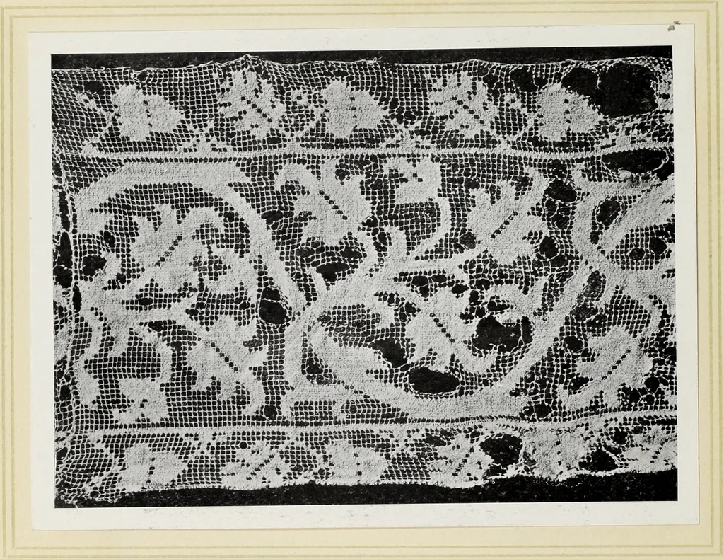 An illustration from Antiche trine italiane : trine ad ago, 1908, leaf 55