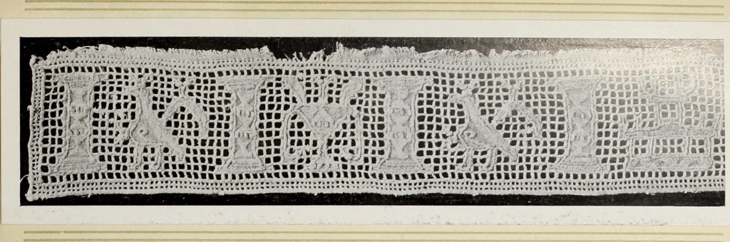 An illustration from Antiche trine italiane : trine ad ago, 1908, leaf 64