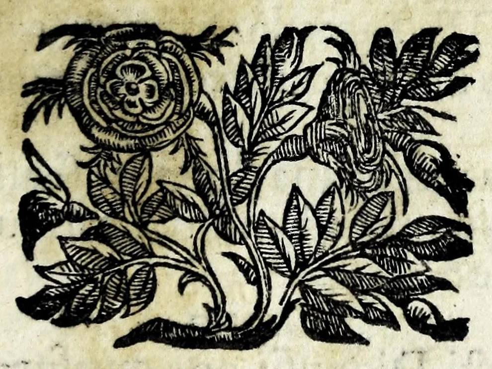 An illustration from Antichità della chiesa di S. Dionigi, et origine del nome di Cassano Geradadda, 1617, leaf 49