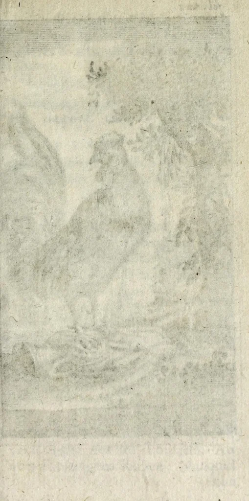 An illustration from Antigrapheus, sive, Conscientia hominis : coram Serenissimo Maximiliano Electore Bavaro, 1655, leaf 139