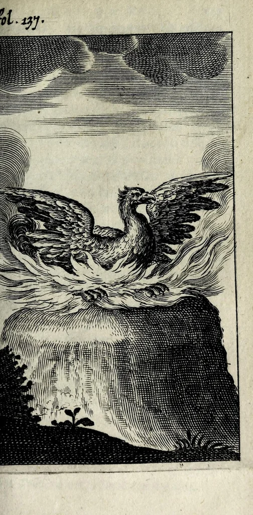 An illustration from Antigrapheus, sive, Conscientia hominis : coram Serenissimo Maximiliano Electore Bavaro, 1655, leaf 265