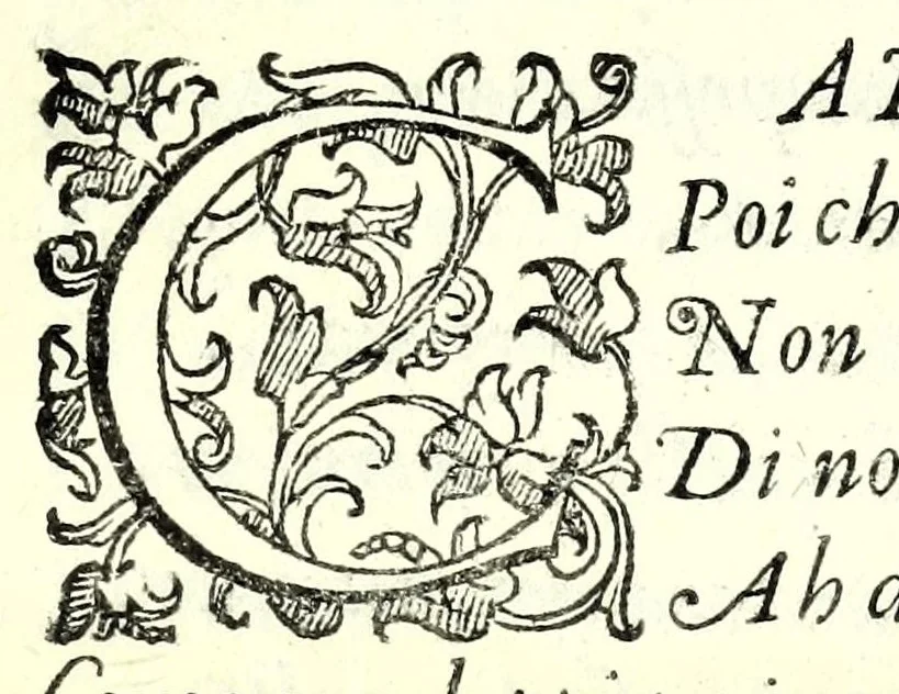 An illustration from Antiloco : tragicomedia, 1594, leaf 109