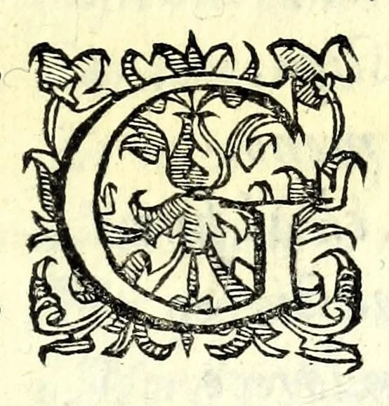 An illustration from Antiloco : tragicomedia, 1594, leaf 117