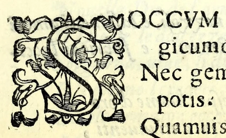 An illustration from Antiloco : tragicomedia, 1594, leaf 13