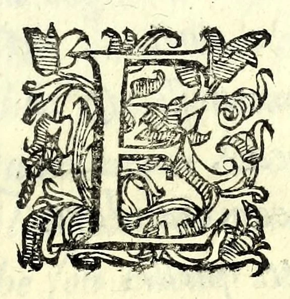 An illustration from Antiloco : tragicomedia, 1594, leaf 27