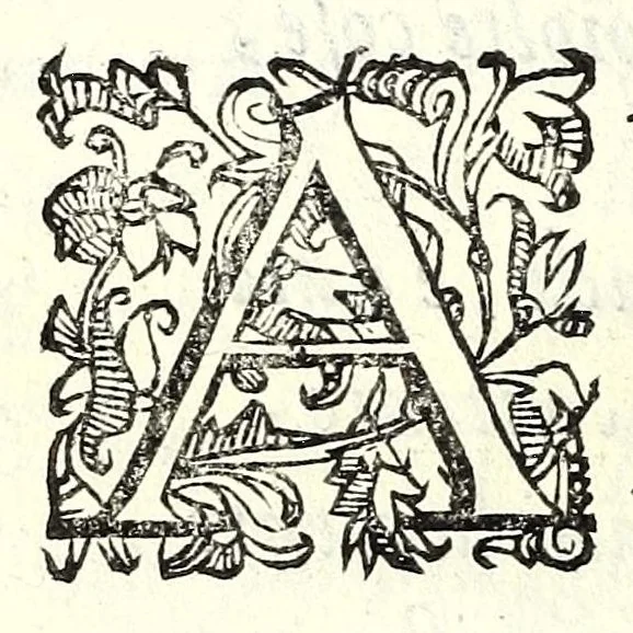 An illustration from Antiloco : tragicomedia, 1594, leaf 62
