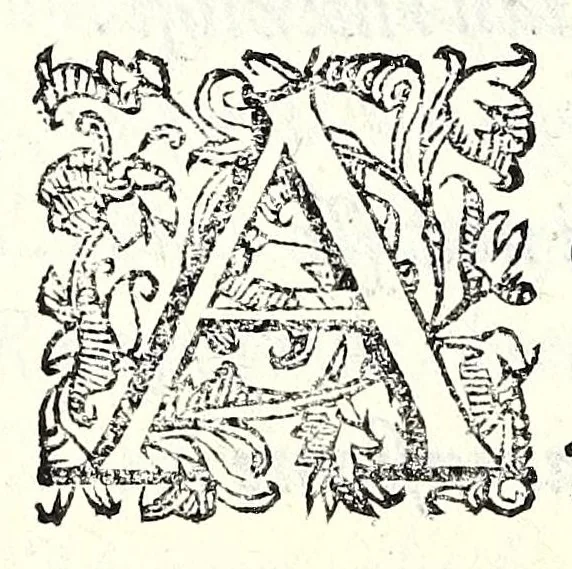 An illustration from Antiloco : tragicomedia, 1594, leaf 96