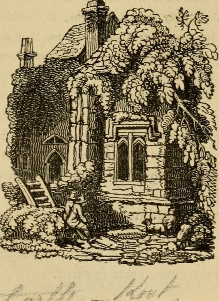 An illustration from The antiquarian itinerary, comprising specimens of architecture, monastic, castellated, and domestic; with other vestiges of antiquity in Great Britain. Accompanied with descriptions, 1815, leaf 115