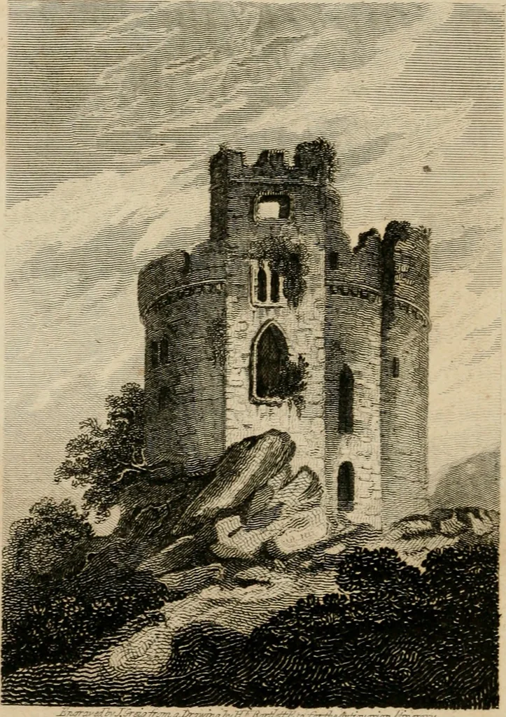 An illustration from The antiquarian itinerary, comprising specimens of architecture, monastic, castellated, and domestic; with other vestiges of antiquity in Great Britain. Accompanied with descriptions, 1815, leaf 141
