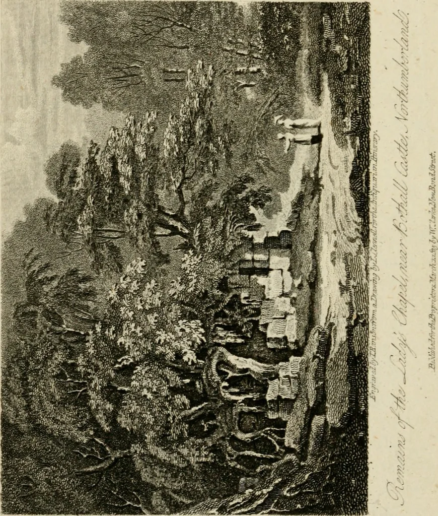 An illustration from The antiquarian itinerary, comprising specimens of architecture, monastic, castellated, and domestic; with other vestiges of antiquity in Great Britain. Accompanied with descriptions, 1815, leaf 81