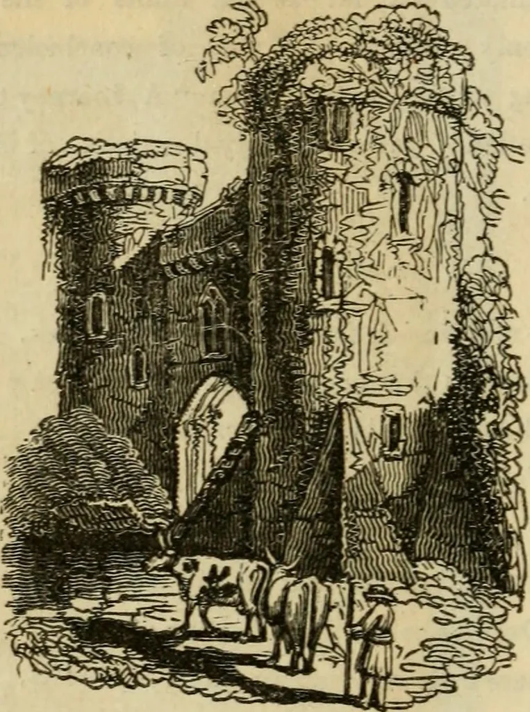 An illustration from The antiquarian itinerary, comprising specimens of architecture, monastic, castellated, and domestic; with other vestiges of antiquity in Great Britain. Accompanied with descriptions, 1815, leaf 31