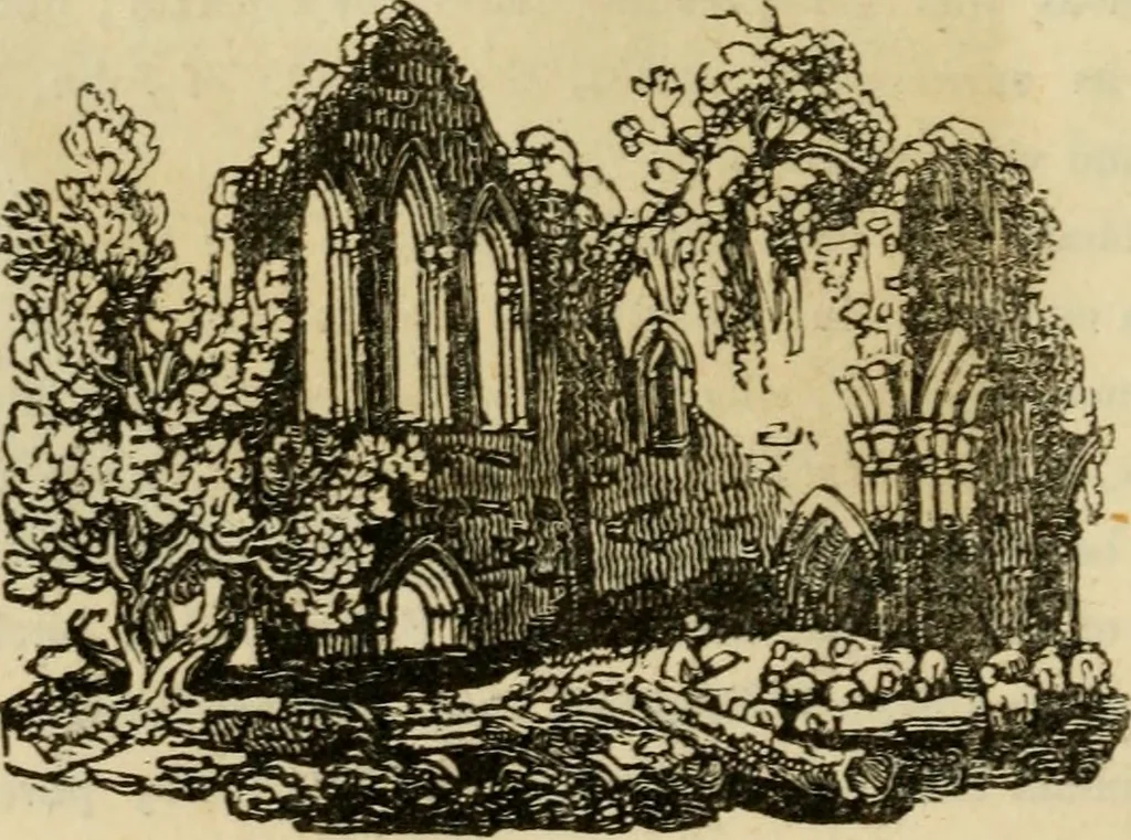 An illustration from The antiquarian itinerary, comprising specimens of architecture, monastic, castellated, and domestic; with other vestiges of antiquity in Great Britain. Accompanied with descriptions, 1815, leaf 73