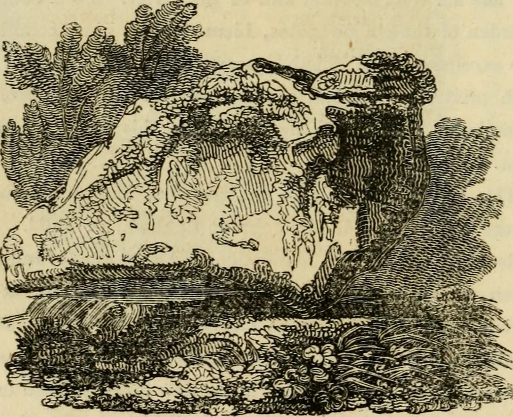 An illustration from The antiquarian itinerary, comprising specimens of architecture, monastic, castellated, and domestic; with other vestiges of antiquity in Great Britain. Accompanied with descriptions, 1815, leaf 77