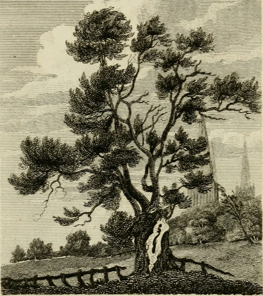 An illustration from The antiquarian itinerary, comprising specimens of architecture, monastic, castellated, and domestic; with other vestiges of antiquity in Great Britain. Accompanied with descriptions, 1815, leaf 47