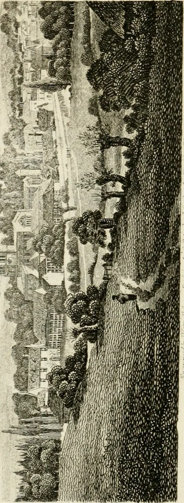 An illustration from The antiquarian itinerary, comprising specimens of architecture, monastic, castellated, and domestic; with other vestiges of antiquity in Great Britain. Accompanied with descriptions, 1815, leaf 155