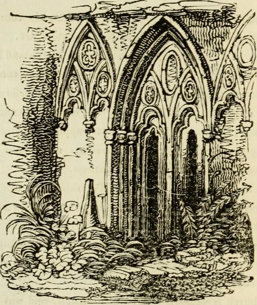 An illustration from The antiquarian itinerary, comprising specimens of architecture, monastic, castellated, and domestic; with other vestiges of antiquity in Great Britain. Accompanied with descriptions, 1815, leaf 181