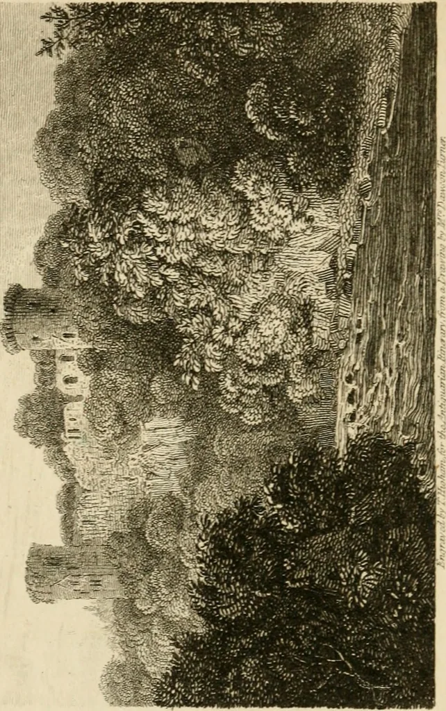 An illustration from The antiquarian itinerary, comprising specimens of architecture, monastic, castellated, and domestic; with other vestiges of antiquity in Great Britain. Accompanied with descriptions, 1815, leaf 99