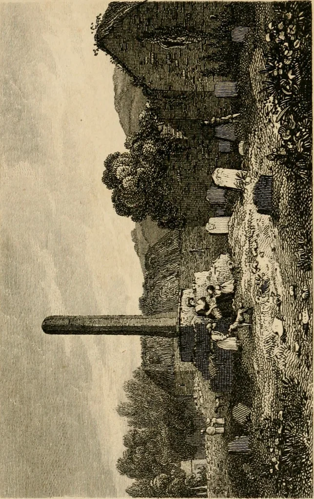 An illustration from The antiquarian itinerary, comprising specimens of architecture, monastic, castellated, and domestic; with other vestiges of antiquity in Great Britain. Accompanied with descriptions, 1815, leaf 101
