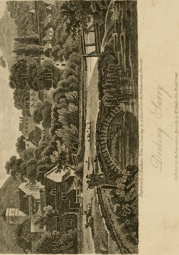 An illustration from The antiquarian itinerary, comprising specimens of architecture, monastic, castellated, and domestic; with other vestiges of antiquity in Great Britain. Accompanied with descriptions, 1815, leaf 161