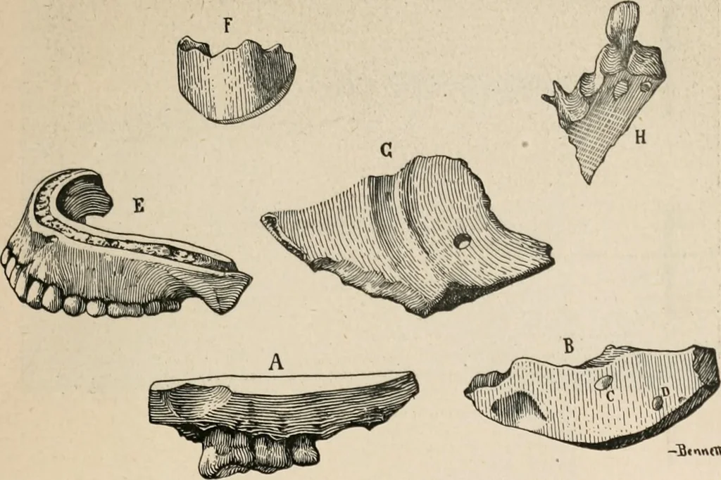 An illustration from The Antiquarian [serial], 1897, leaf 164