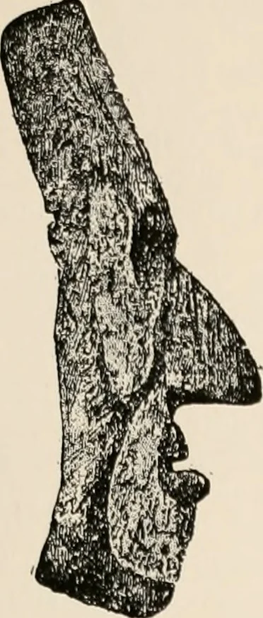 An illustration from The Antiquarian [serial], 1897, leaf 18