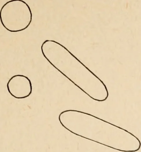 An illustration from The Antiquarian [serial], 1897, leaf 186