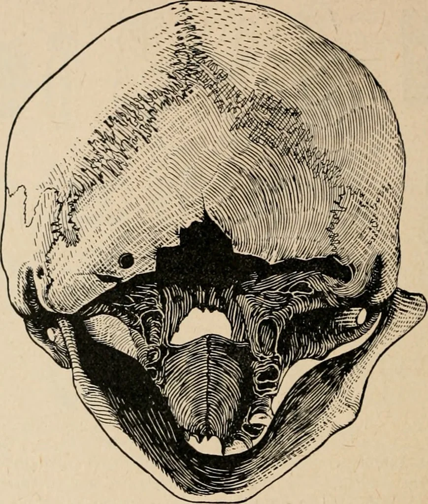 An illustration from The Antiquarian [serial], 1897, leaf 189