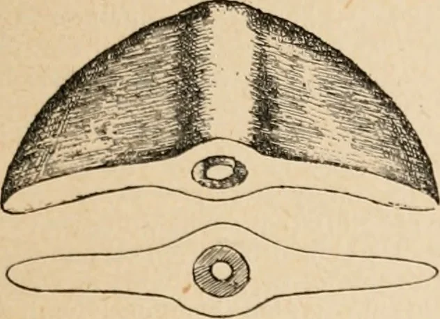 An illustration from The Antiquarian [serial], 1897, leaf 202