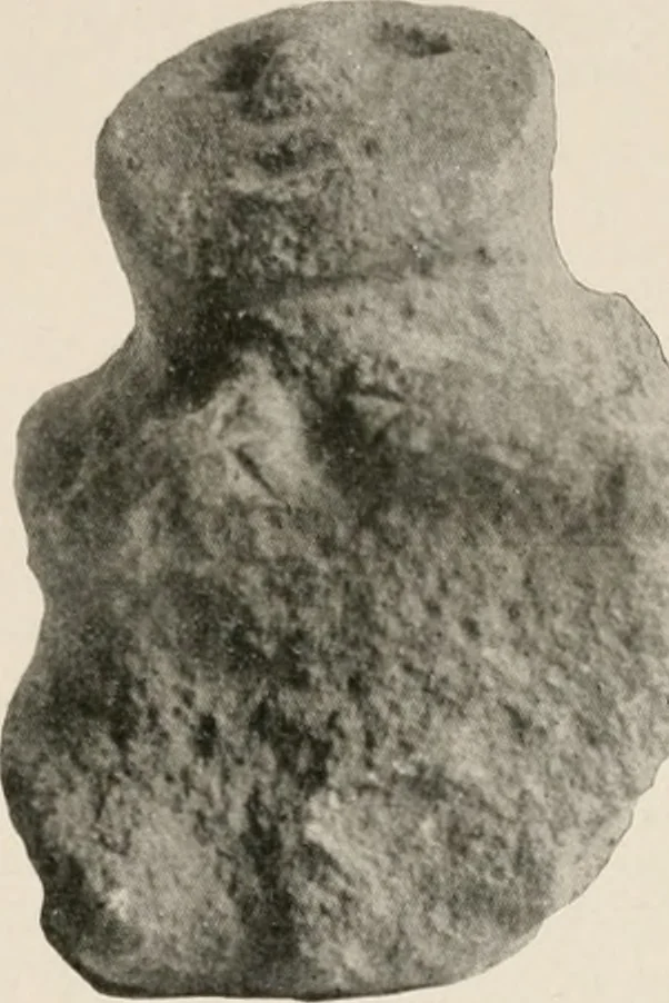 An illustration from The Antiquarian [serial], 1897, leaf 214