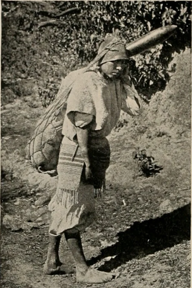An illustration from The Antiquarian [serial], 1897, leaf 23