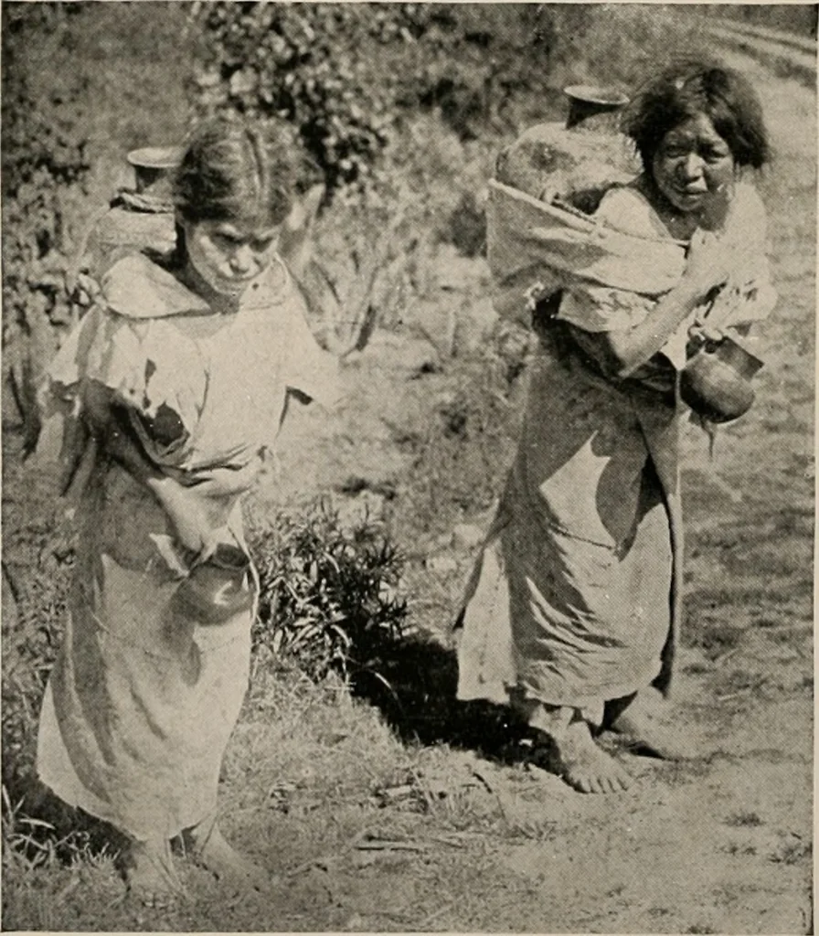 An illustration from The Antiquarian [serial], 1897, leaf 23