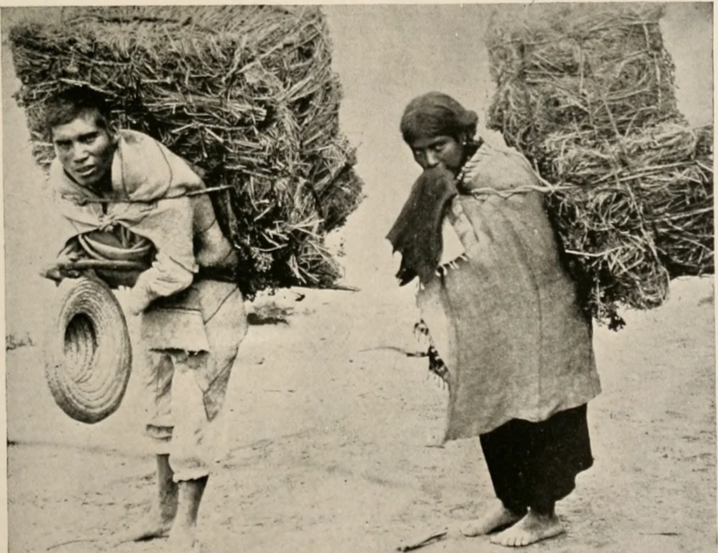 An illustration from The Antiquarian [serial], 1897, leaf 24