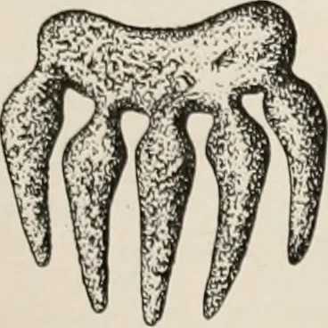 An illustration from The Antiquarian [serial], 1897, leaf 250