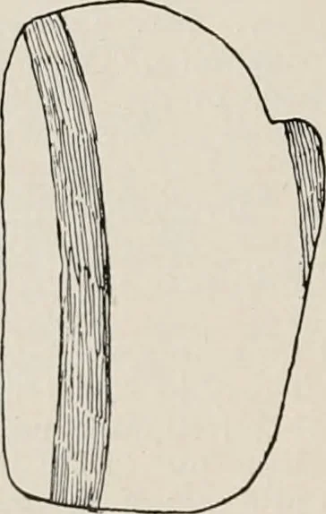 An illustration from The Antiquarian [serial], 1897, leaf 257