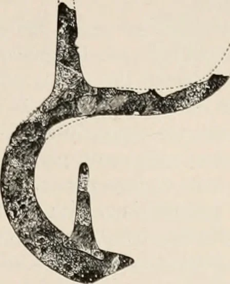 An illustration from The Antiquarian [serial], 1897, leaf 266