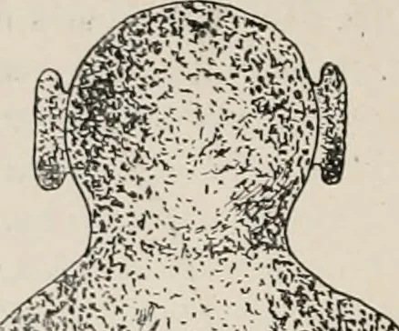 An illustration from The Antiquarian [serial], 1897, leaf 269