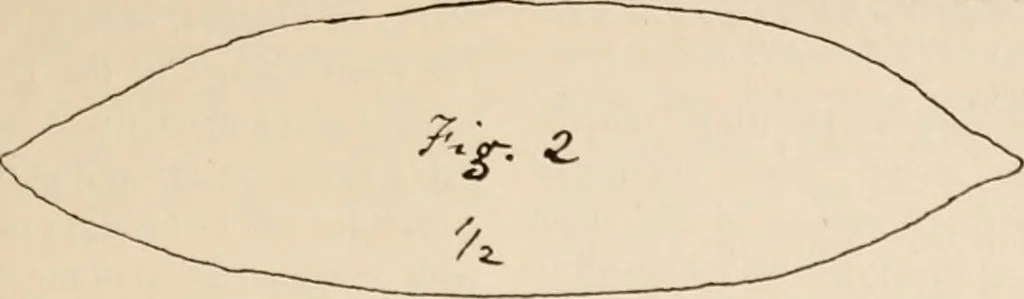 An illustration from The Antiquarian [serial], 1897, leaf 296
