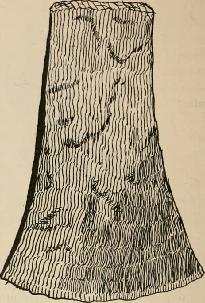 An illustration from The Antiquarian [serial], 1897, leaf 303