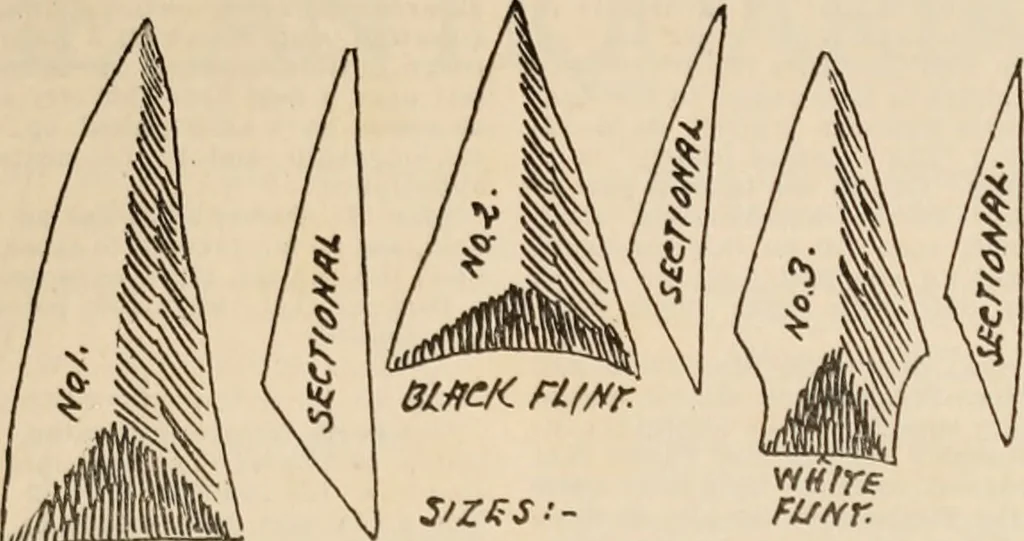 An illustration from The Antiquarian [serial], 1897, leaf 316