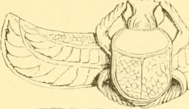 An illustration from Antique gems and rings, 1872, leaf 102