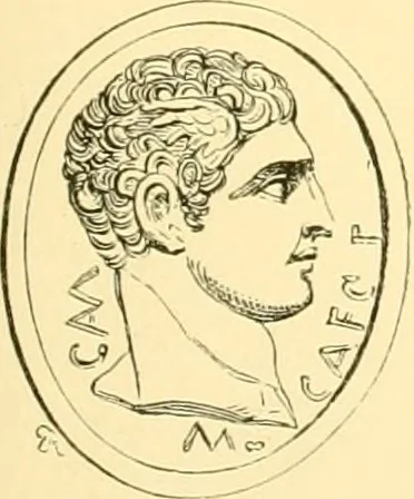 An illustration from Antique gems and rings, 1872, leaf 206
